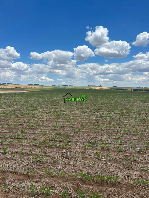 Foto 1 de Fazenda / Haras com 6 quartos à venda, 300m2 em Boa Vista Do Incra - RS