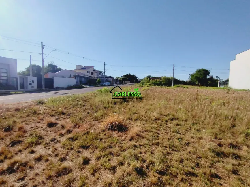 Foto 9 de Terreno / Lote à venda, 375m2 em Pinheiro Machado, Santa Maria - RS