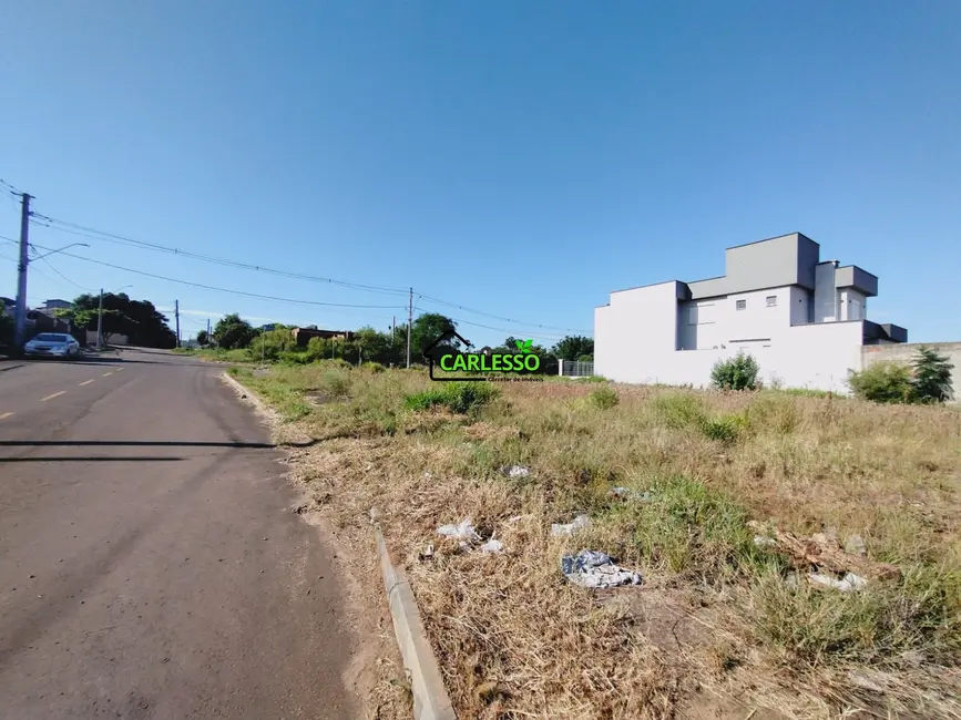 Foto 8 de Terreno / Lote à venda, 375m2 em Pinheiro Machado, Santa Maria - RS