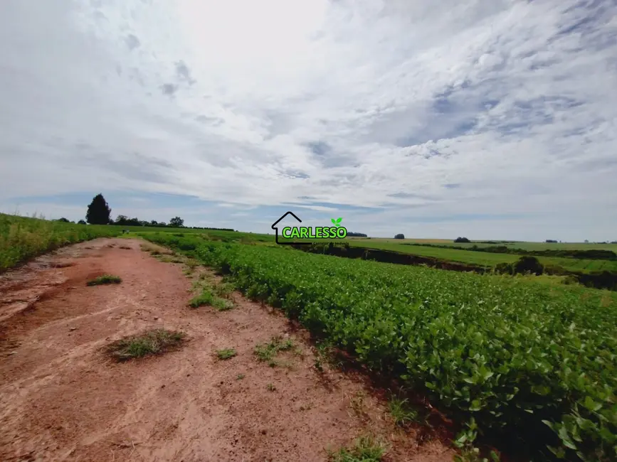 Foto 1 de Chácara com 3 quartos à venda, 250000m2 em Julio De Castilhos - RS