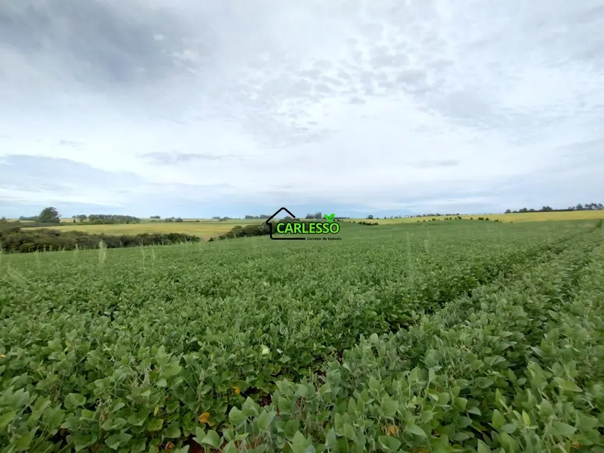 Foto 3 de Chácara com 3 quartos à venda, 250000m2 em Julio De Castilhos - RS