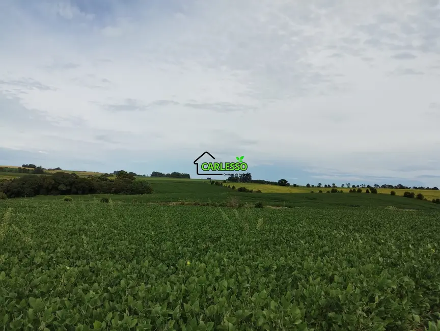 Foto 4 de Chácara com 3 quartos à venda, 250000m2 em Julio De Castilhos - RS