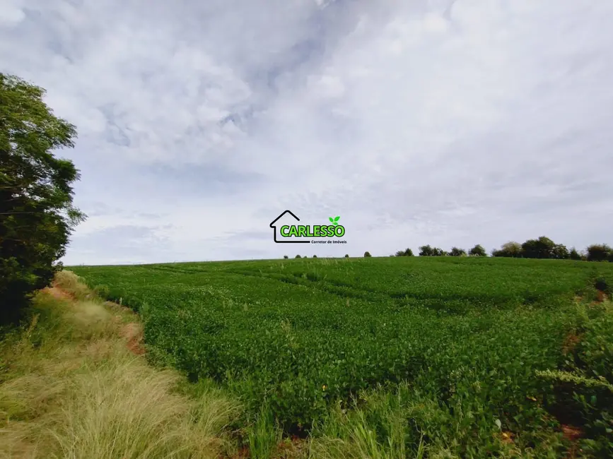 Foto 8 de Chácara com 3 quartos à venda, 250000m2 em Julio De Castilhos - RS