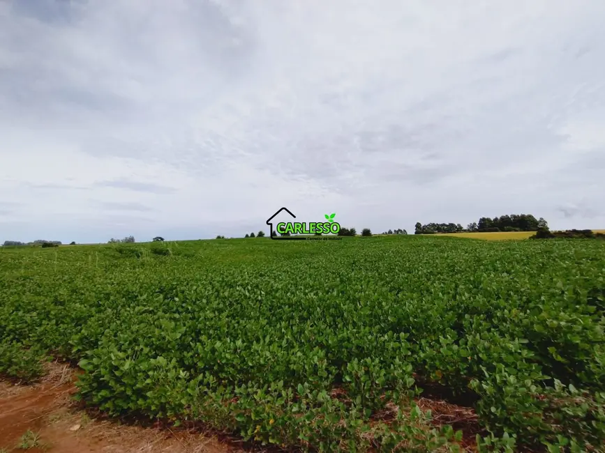 Foto 6 de Chácara com 3 quartos à venda, 250000m2 em Julio De Castilhos - RS
