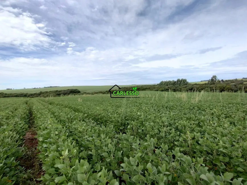 Foto 2 de Chácara com 3 quartos à venda, 250000m2 em Julio De Castilhos - RS