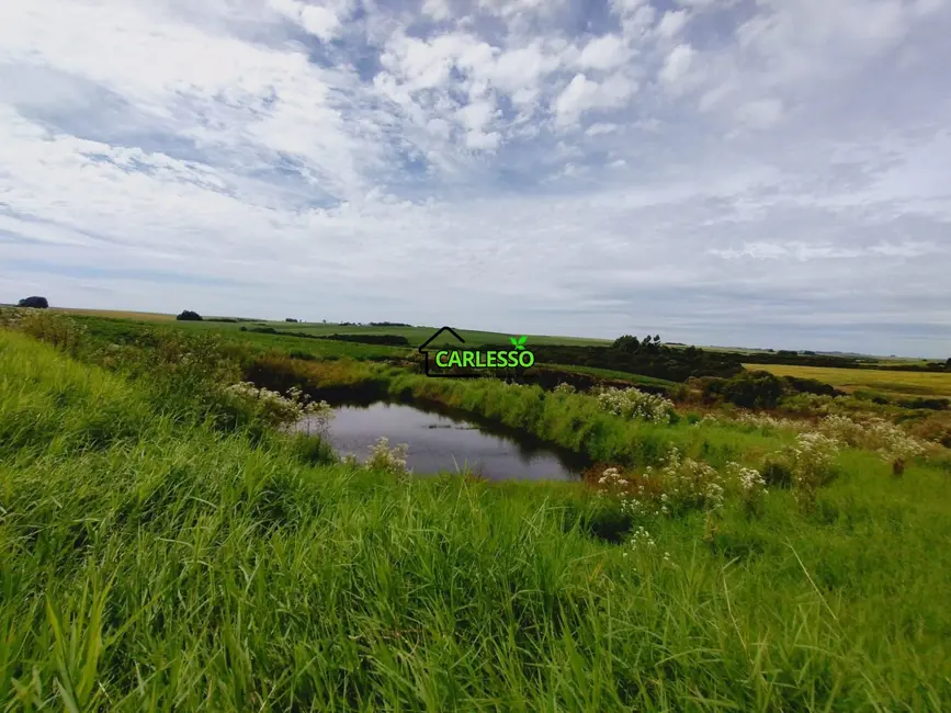 Foto 5 de Chácara com 3 quartos à venda, 250000m2 em Julio De Castilhos - RS