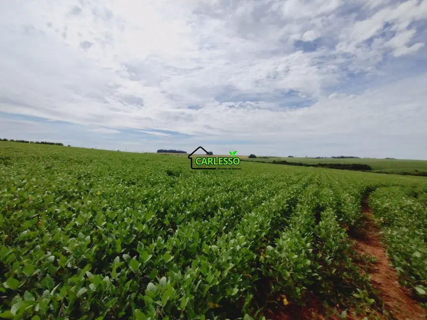 Foto 7 de Chácara com 3 quartos à venda, 250000m2 em Julio De Castilhos - RS