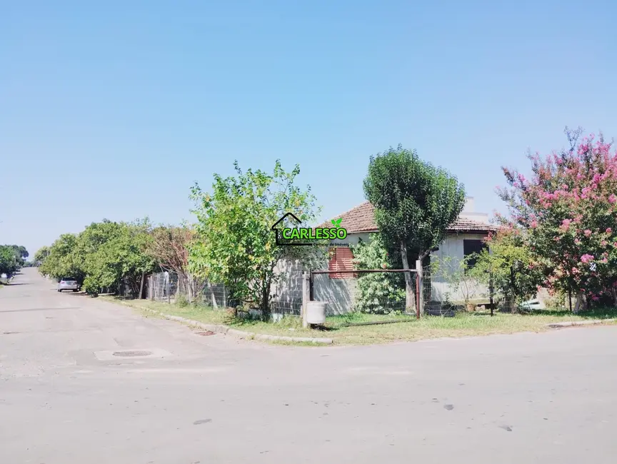 Foto 2 de Terreno / Lote à venda, 360m2 em Urlândia, Santa Maria - RS