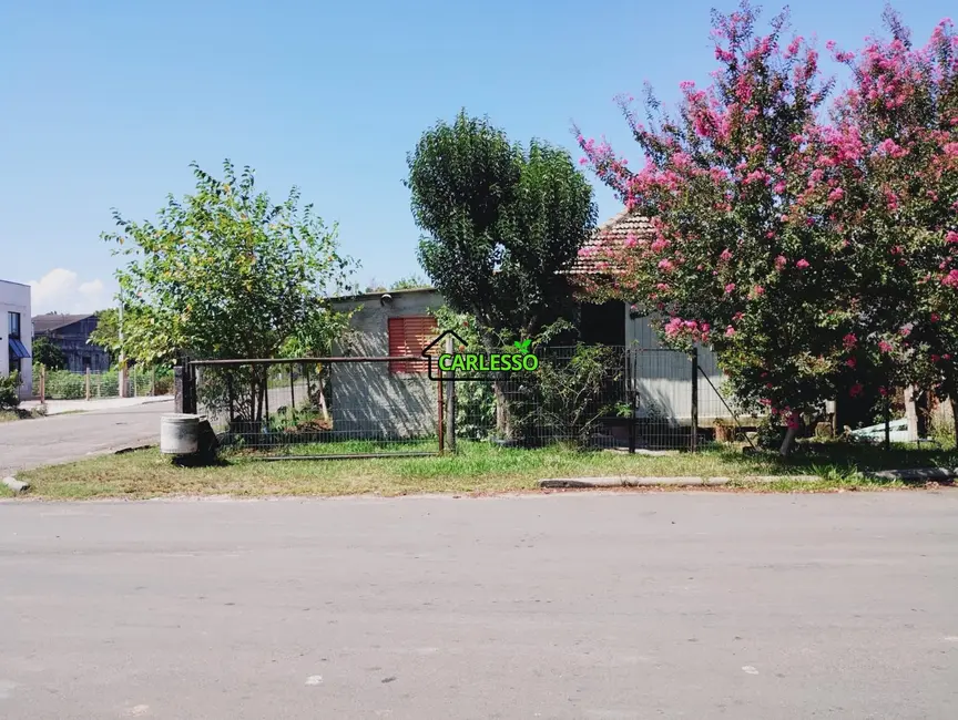 Foto 8 de Terreno / Lote à venda, 360m2 em Urlândia, Santa Maria - RS