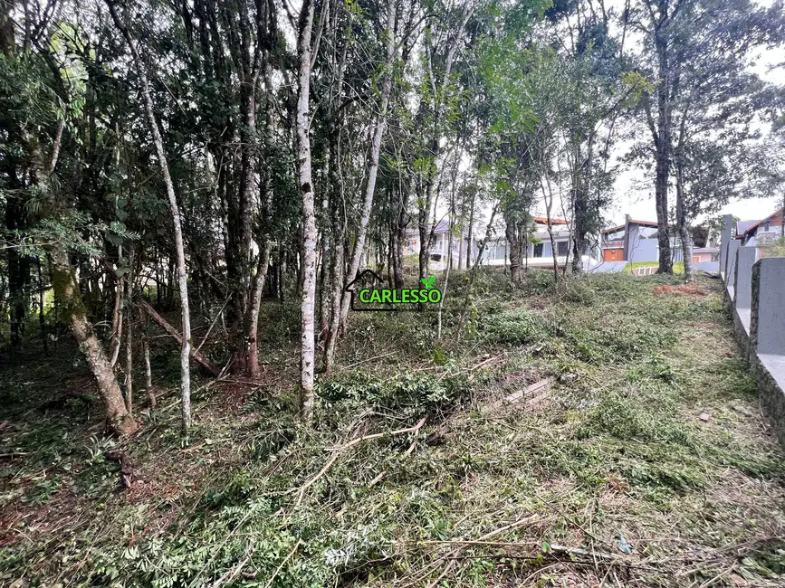 Terreno / Lote à venda, 390m2 em Gramado - RS - imagem 2 Foto 2 de Terreno / Lote à venda, 390m2 em Gramado - RS