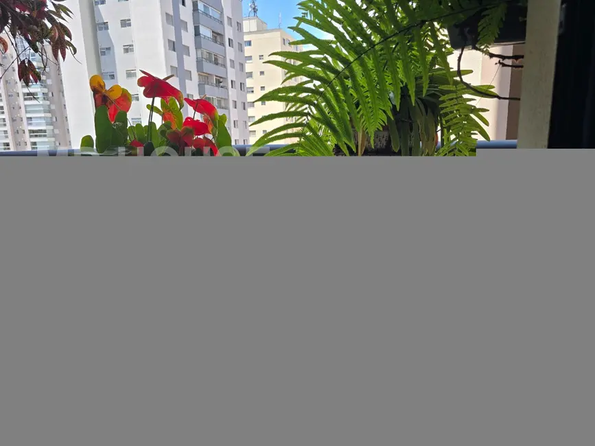 Apartamento com 2 quartos à venda, 60m2 em Vila Mariana, São Paulo - SP - imagem 3 Foto 3 de Apartamento com 2 quartos à venda, 60m2 em Vila Mariana, São Paulo - SP
