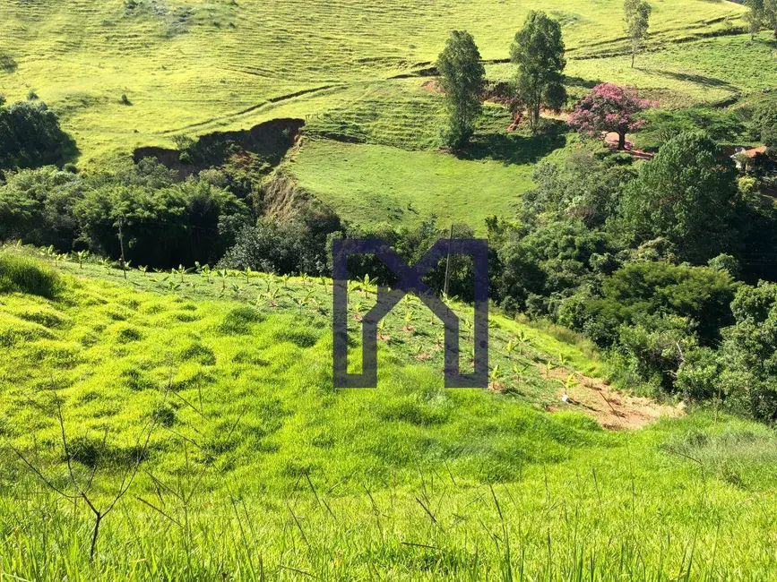 Foto 6 de Chácara à venda, 20000m2 em Centro, Wenceslau Braz - MG