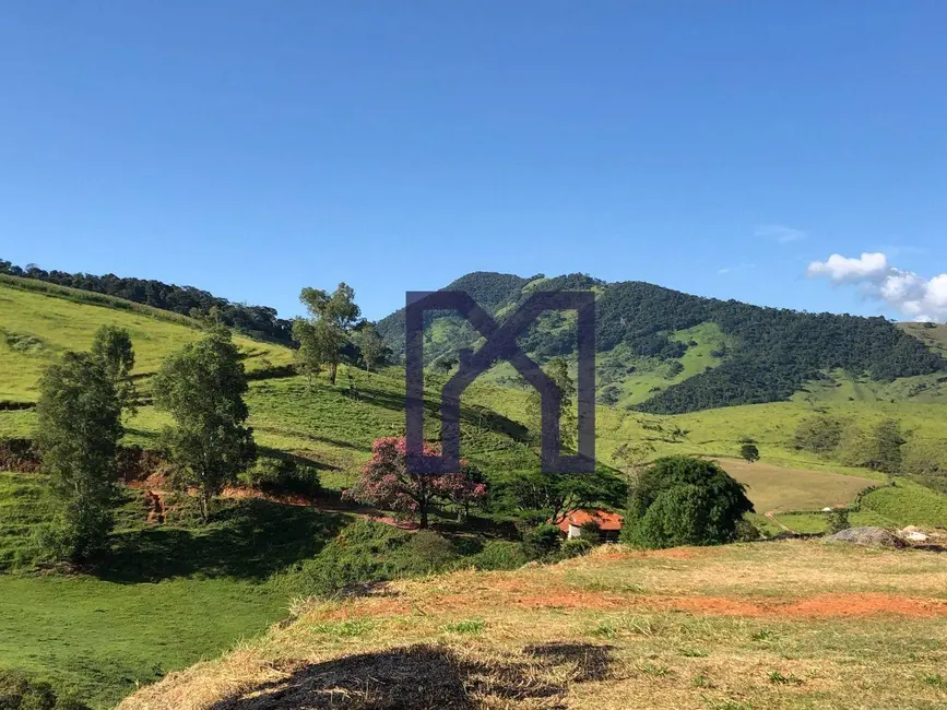 Foto 4 de Chácara à venda, 20000m2 em Centro, Wenceslau Braz - MG