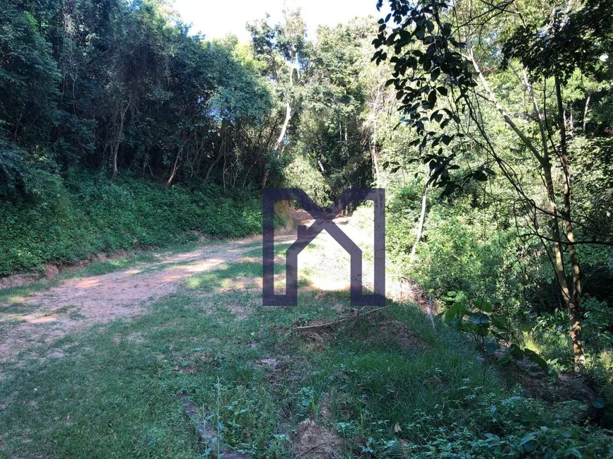 Foto 9 de Chácara à venda, 20000m2 em Centro, Wenceslau Braz - MG