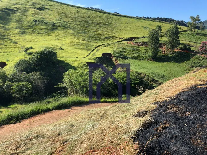 Foto 8 de Chácara à venda, 20000m2 em Centro, Wenceslau Braz - MG