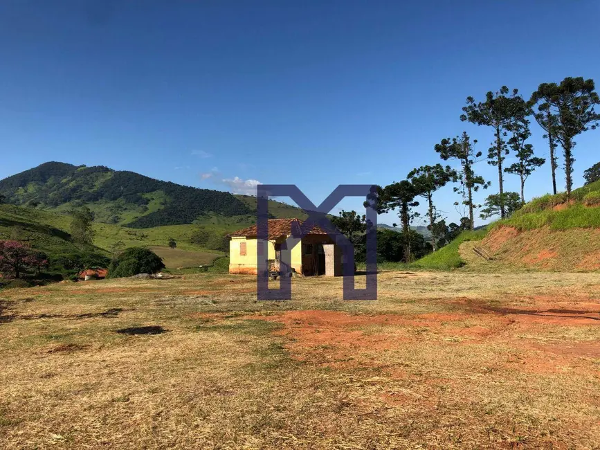 Foto 2 de Chácara à venda, 20000m2 em Centro, Wenceslau Braz - MG