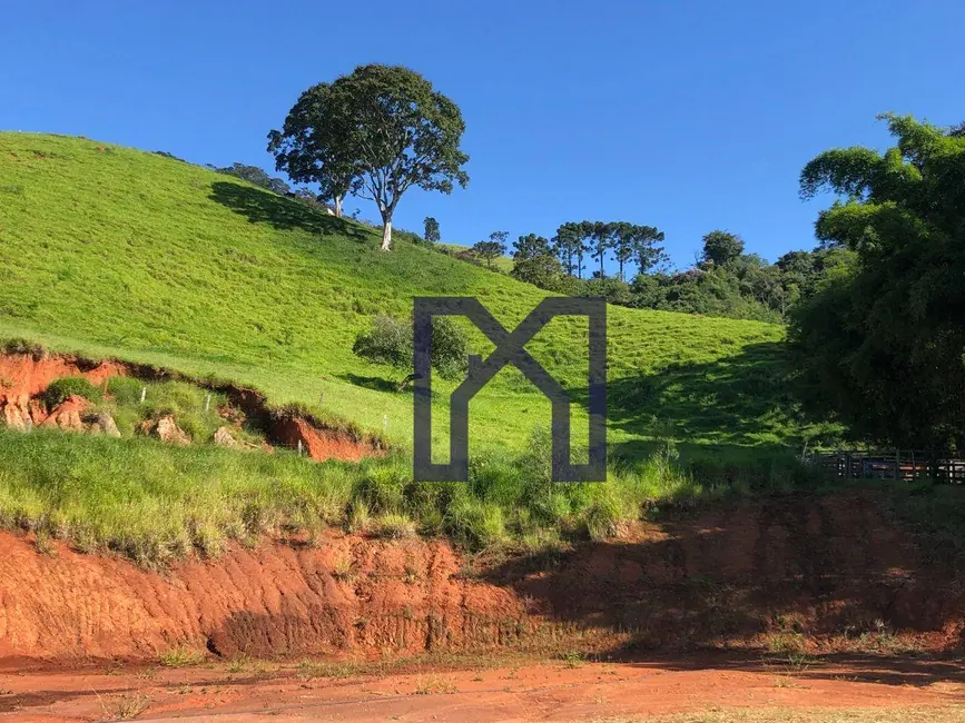 Foto 5 de Chácara à venda, 20000m2 em Centro, Wenceslau Braz - MG