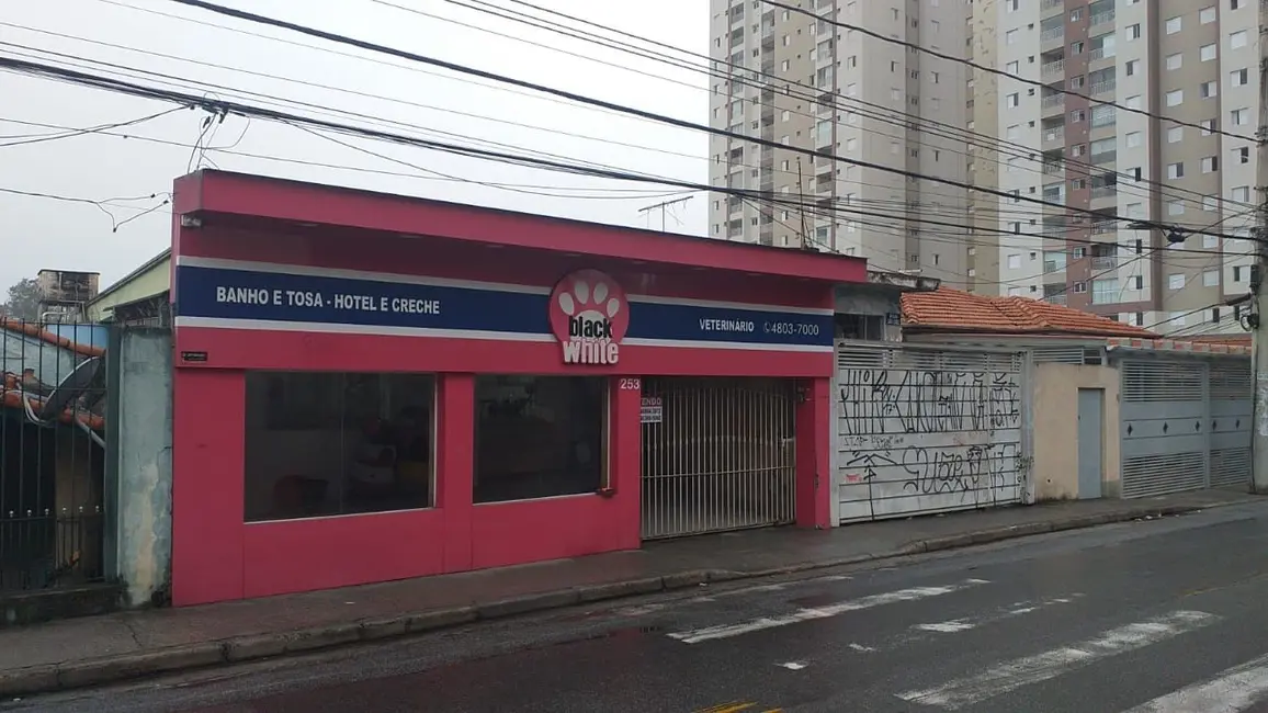 Loja à venda, 125m2 em Jardim do Triunfo, Guarulhos - SP - imagem 8 Foto 8 de Loja à venda, 125m2 em Jardim do Triunfo, Guarulhos - SP