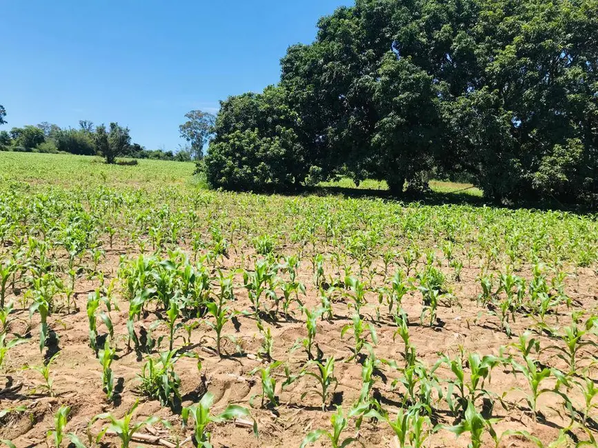 Foto 4 de Terreno / Lote à venda em Aracoiaba Da Serra - SP