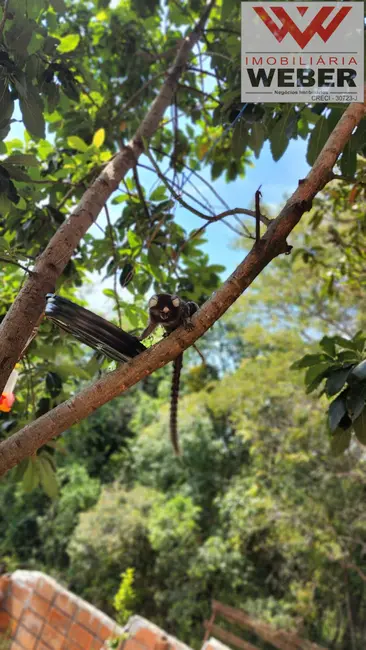 Foto 4 de Casa de Condomínio com 2 quartos à venda, 989m2 em Aracoiaba Da Serra - SP