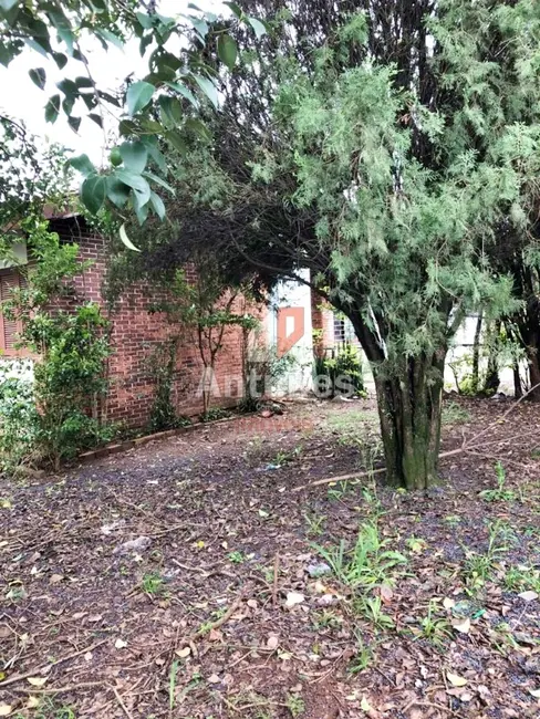 Foto 7 de Terreno / Lote à venda, 333m2 em Vila Vista Alegre, Cachoeirinha - RS