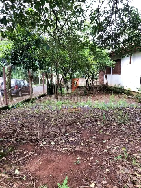 Foto 6 de Terreno / Lote à venda, 333m2 em Vila Vista Alegre, Cachoeirinha - RS