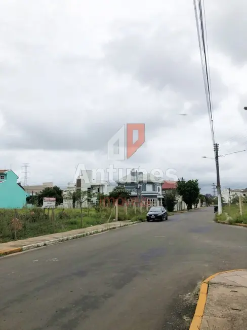 Terreno / Lote à venda, 452m2 em Parque da Matriz, Cachoeirinha - RS - imagem 5 Foto 5 de Terreno / Lote à venda, 452m2 em Parque da Matriz, Cachoeirinha - RS