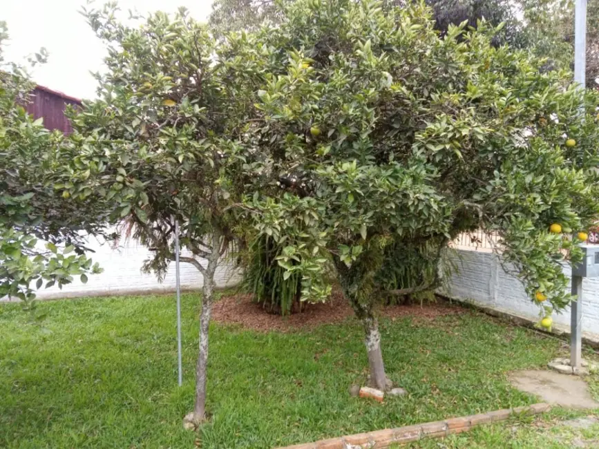 Foto 7 de Casa com 2 quartos à venda, 106m2 em Neópolis, Gravatai - RS