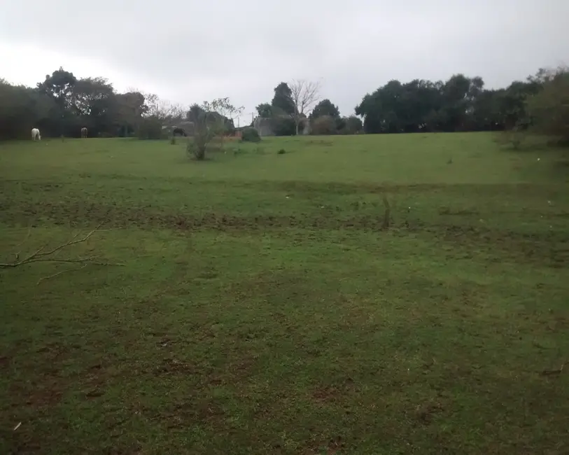 Foto 1 de Terreno / Lote à venda, 3500m2 em Cachoeirinha - RS