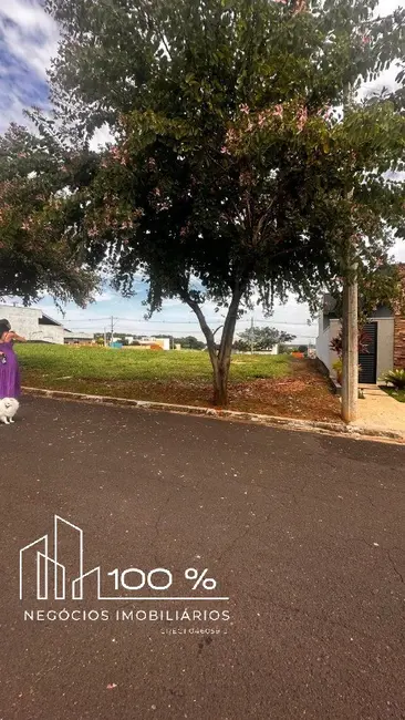 Foto 1 de Terreno / Lote à venda, 253m2 em Sao Jose Do Rio Preto - SP