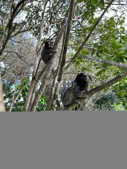Foto 8 de Chácara com 2 quartos à venda, 100m2 em Artur Nogueira - SP