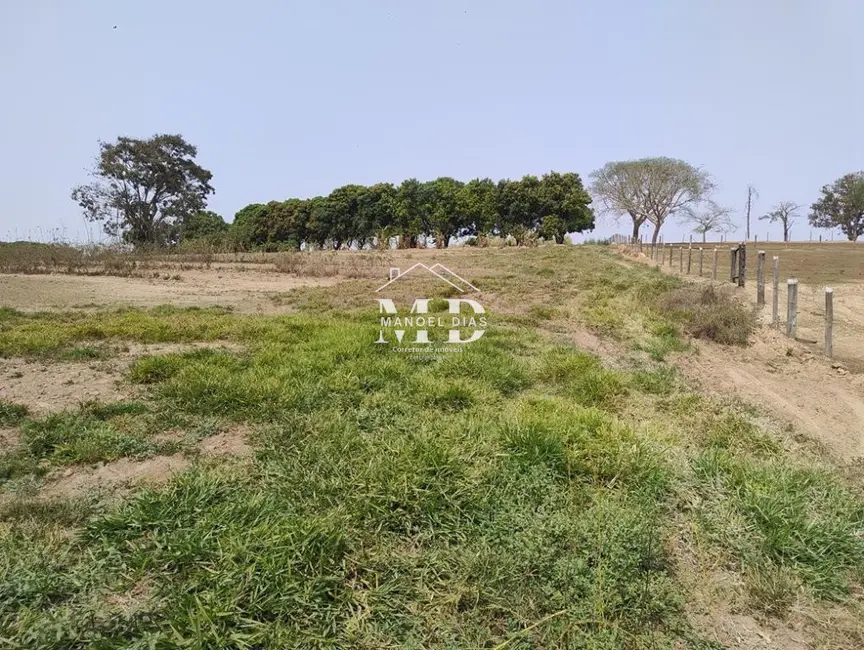 Foto 8 de Chácara com 4 quartos à venda, 20800m2 em Artur Nogueira - SP