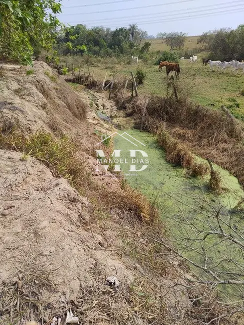 Foto 3 de Chácara com 4 quartos à venda, 20800m2 em Artur Nogueira - SP
