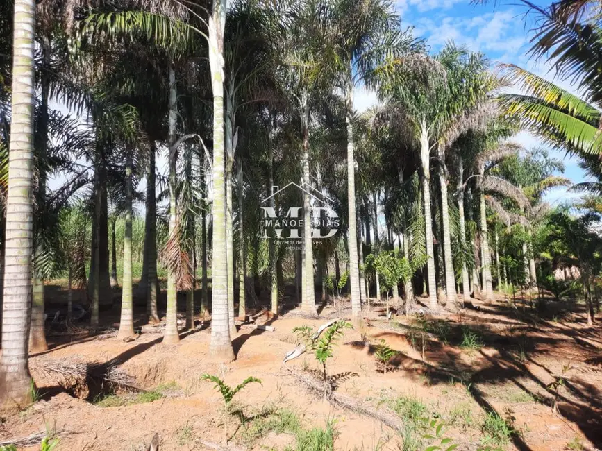 Foto 10 de Fazenda / Haras à venda, 48000m2 em Artur Nogueira - SP