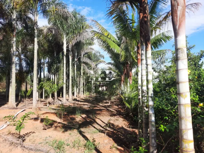 Foto 12 de Fazenda / Haras à venda, 48000m2 em Artur Nogueira - SP