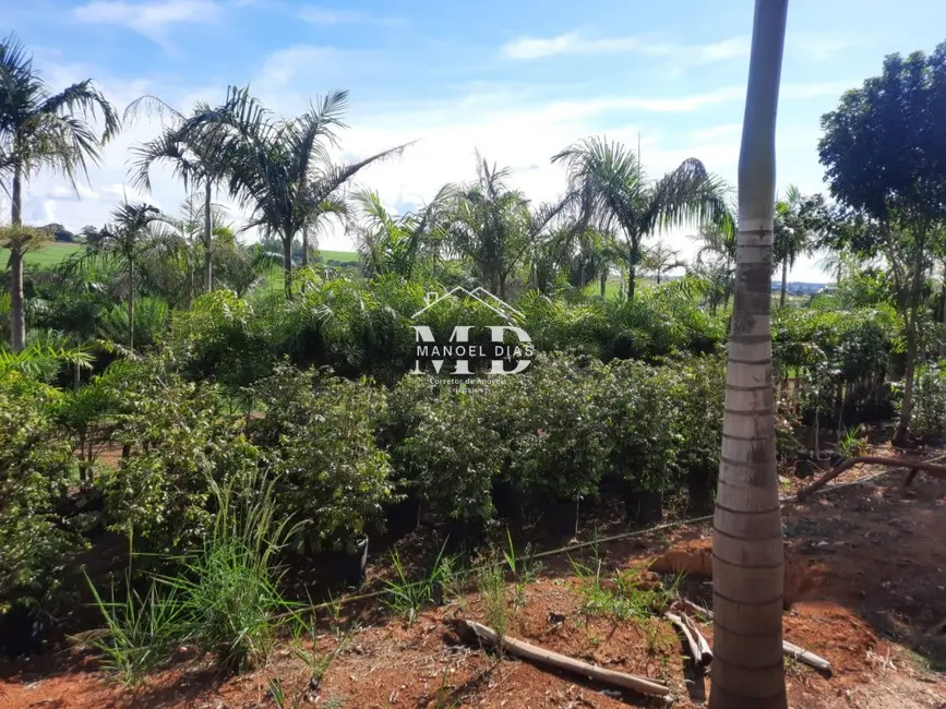 Foto 8 de Fazenda / Haras à venda, 48000m2 em Artur Nogueira - SP