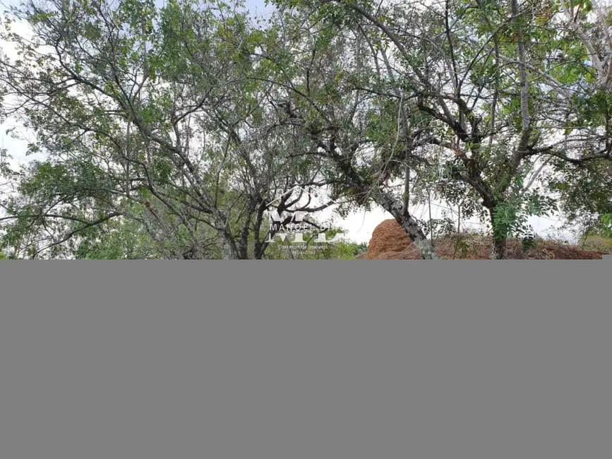 Foto 9 de Fazenda / Haras à venda, 25068m2 em Artur Nogueira - SP