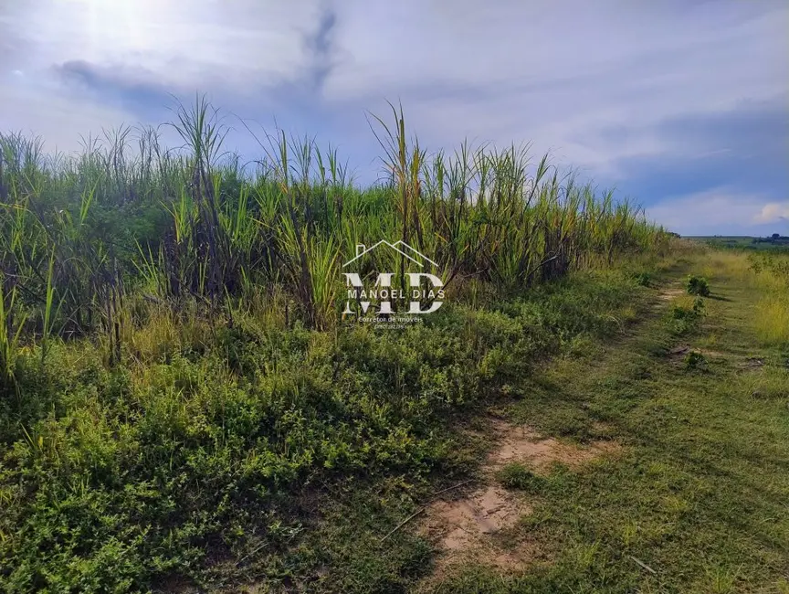 Foto 4 de Fazenda / Haras à venda, 72000m2 em Artur Nogueira - SP