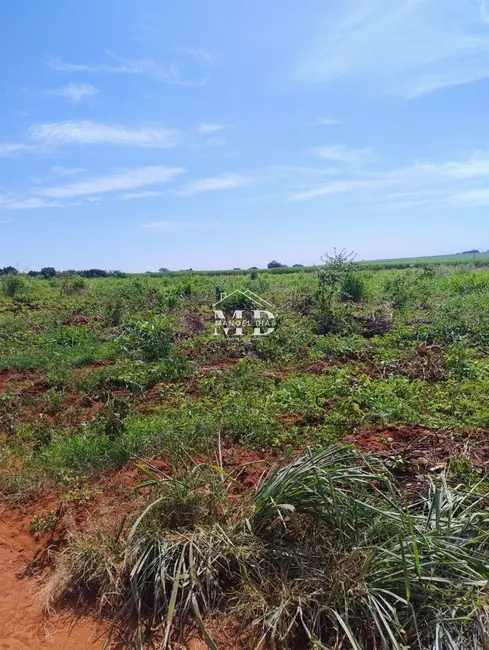 Foto 1 de Fazenda / Haras à venda, 96000m2 em Artur Nogueira - SP