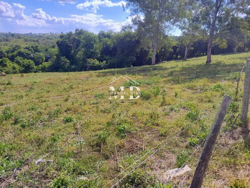 Foto 7 de Chácara à venda, 20000m2 em Artur Nogueira - SP