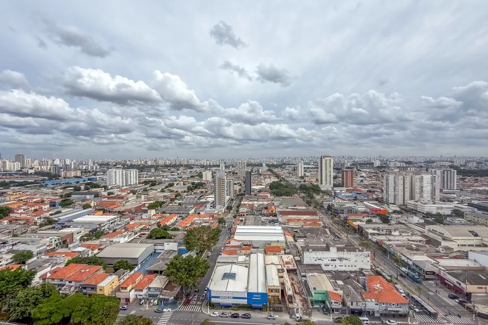 Apartamento com 4 quartos à venda, 512m2 em Vila Maria Alta, São Paulo - SP - imagem 6 Foto 6 de Apartamento com 4 quartos à venda, 512m2 em Vila Maria Alta, São Paulo - SP