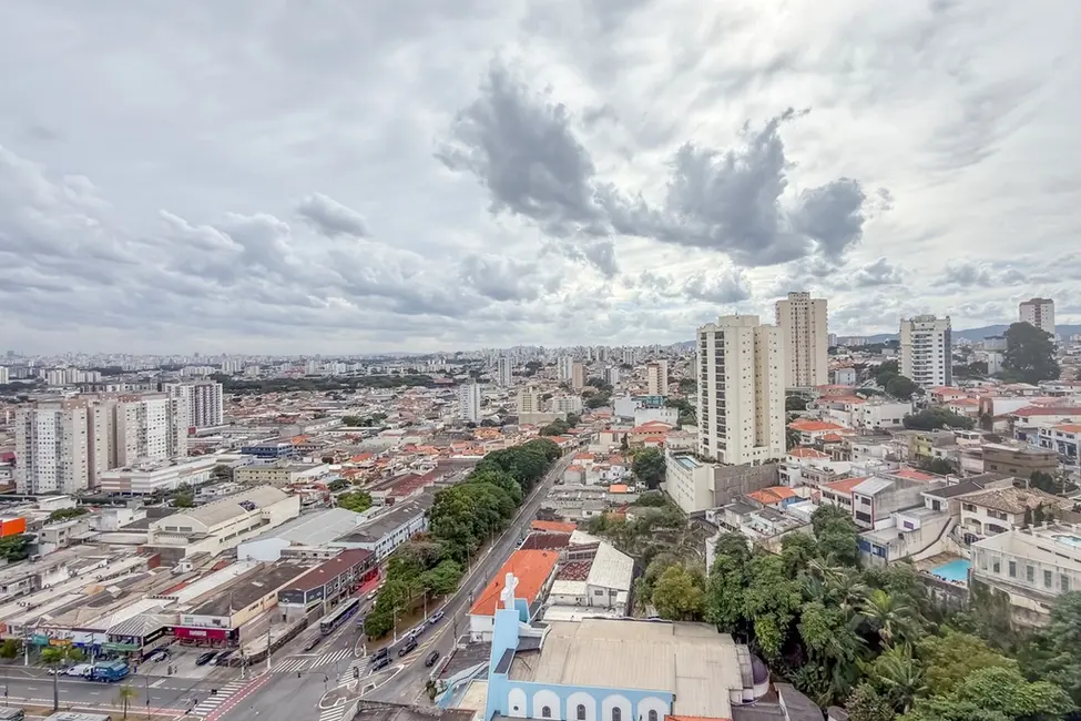 Apartamento com 4 quartos à venda, 512m2 em Vila Maria Alta, São Paulo - SP - imagem 5 Foto 5 de Apartamento com 4 quartos à venda, 512m2 em Vila Maria Alta, São Paulo - SP