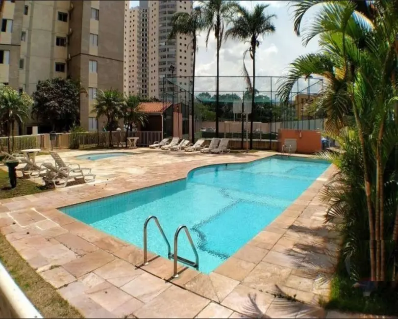 Foto 4 de Apartamento com 3 quartos à venda, 63m2 em Cambuci, São Paulo - SP