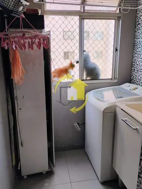 Foto 7 de Apartamento com 2 quartos à venda, 50m2 em Belenzinho, São Paulo - SP