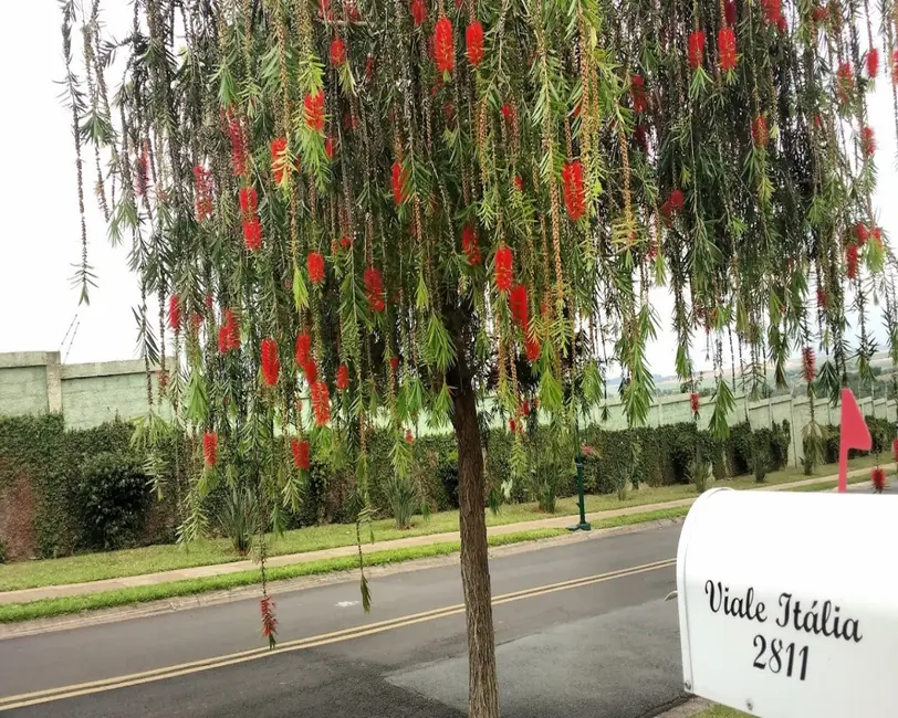 Foto 5 de Sobrado com 6 quartos à venda, 505m2 em Jardim Vila Paradiso, Indaiatuba - SP