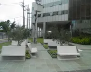 Imagem 5