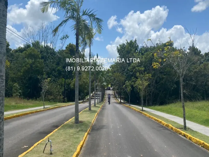 Terreno / Lote à venda, 1050m2 em Jaboatao Dos Guararapes - PE - imagem 8 Foto 8 de Terreno / Lote à venda, 1050m2 em Jaboatao Dos Guararapes - PE