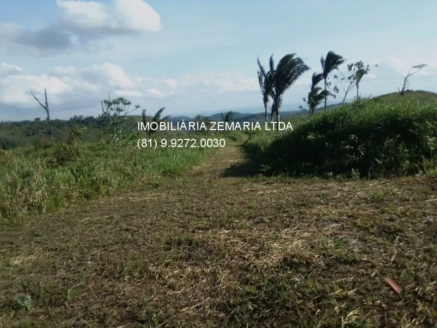 Foto 5 de Fazenda / Haras com 4 quartos à venda em Bonito - PE