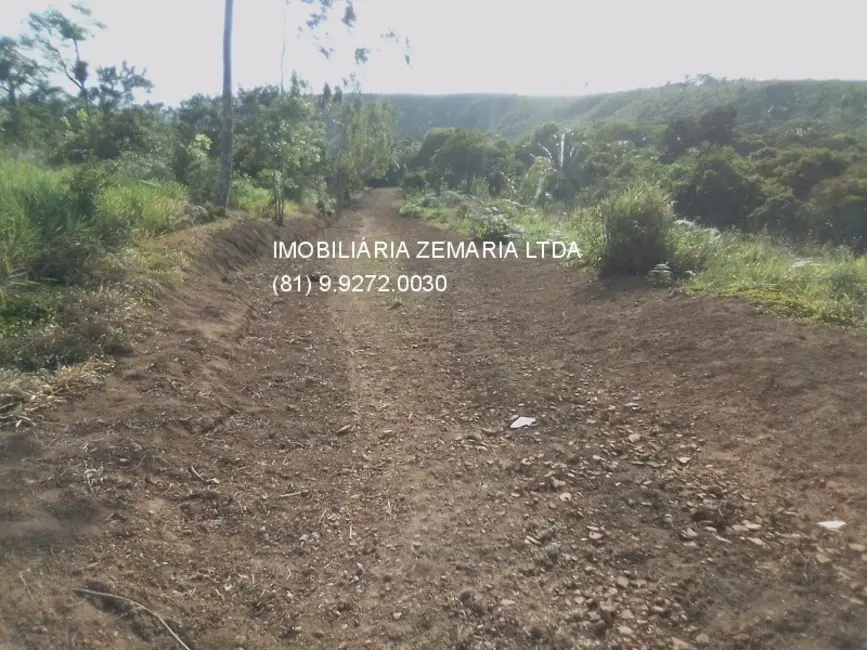 Foto 7 de Fazenda / Haras com 4 quartos à venda em Bonito - PE