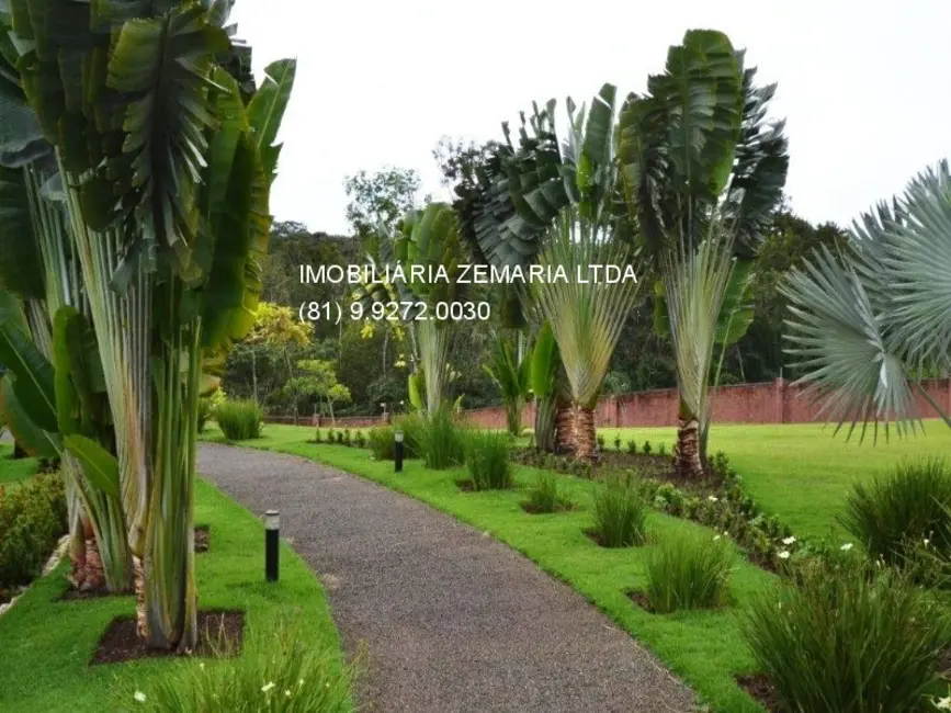 Terreno / Lote com 3 quartos à venda, 506m2 em Curado, Jaboatao Dos Guararapes - PE - imagem 9 Foto 9 de Terreno / Lote com 3 quartos à venda, 506m2 em Curado, Jaboatao Dos Guararapes - PE